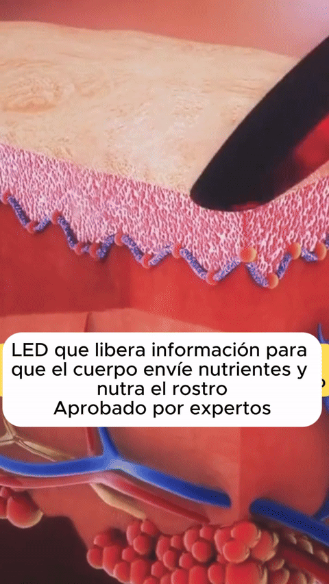 🌟 Masajeador Facial Antiedad Multifuncional – Limpieza y Revitalización para tu Piel